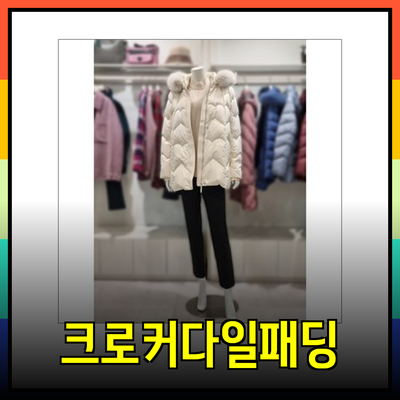 크로커다일패딩의 매력을 느껴보세요! 다양한 제품 소개
