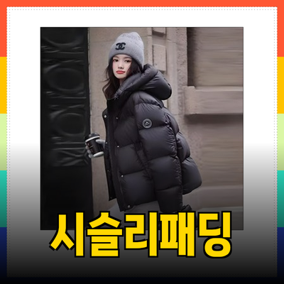 완벽한 겨울을 위한 시슬리패딩 제품 추천